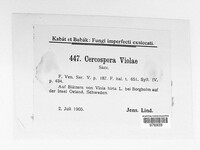 Cercospora violae image